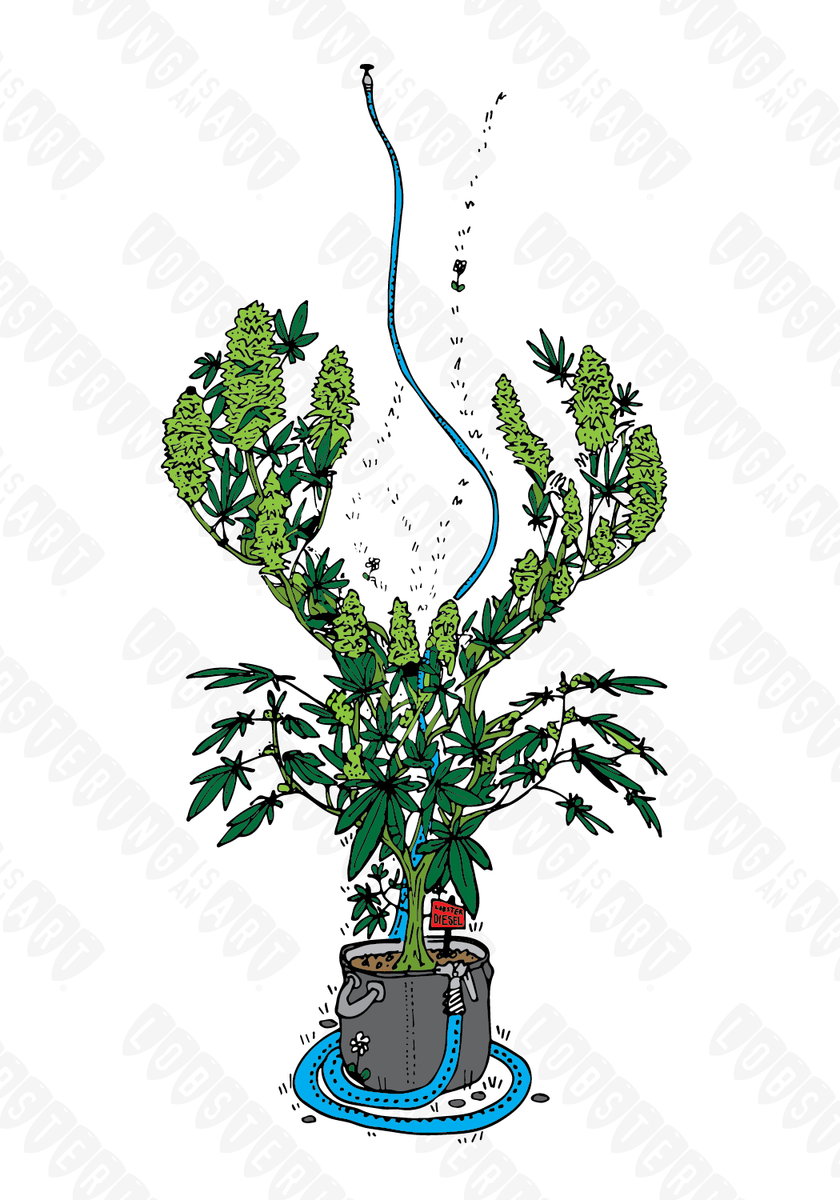 "Lobster Pot" Lobstering Is An Art