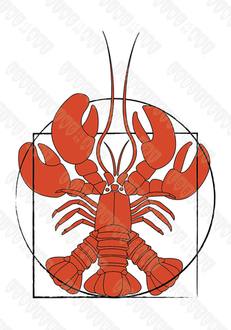 "Vitruvian Lobster" Prints